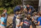 Fla. fire crews help rescue injured manatee