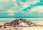 Sustainable Travel: What It Is, Why We Need It, And How You Can Do It