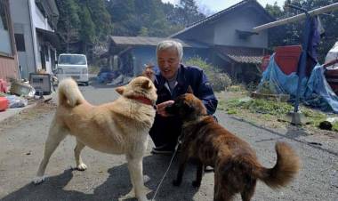 10 Years After Fukushima Nuclear Disaster, Two Men Are Still Living There Taking Care of Everyone’s Pets