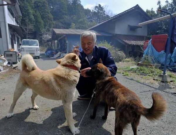 10 Years After Fukushima Nuclear Disaster, Two Men Are Still Living There Taking Care of Everyone’s Pets
