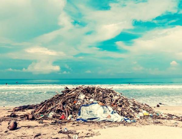 Sustainable Travel: What It Is, Why We Need It, And How You Can Do It