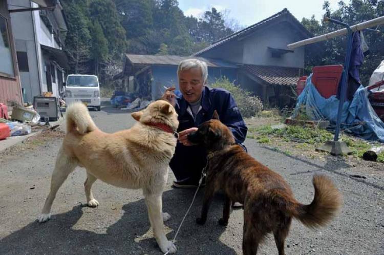 10 Years After Fukushima Nuclear Disaster, Two Men Are Still Living There Taking Care of Everyone’s Pets