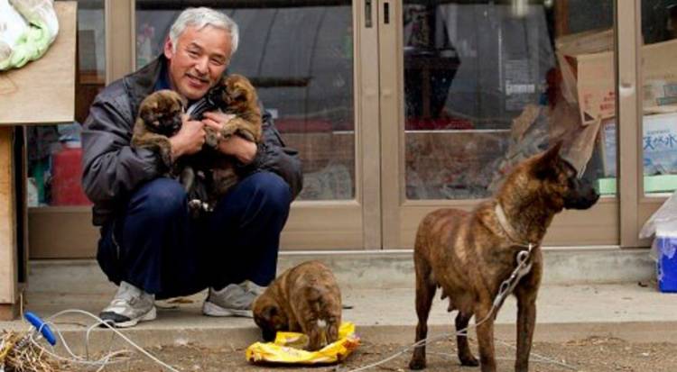 10 Years After Fukushima Nuclear Disaster, Two Men Are Still Living There Taking Care of Everyone’s Pets