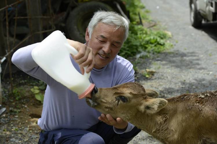 10 Years After Fukushima Nuclear Disaster, Two Men Are Still Living There Taking Care of Everyone’s Pets
