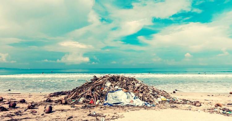 Sustainable Travel: What It Is, Why We Need It, And How You Can Do It