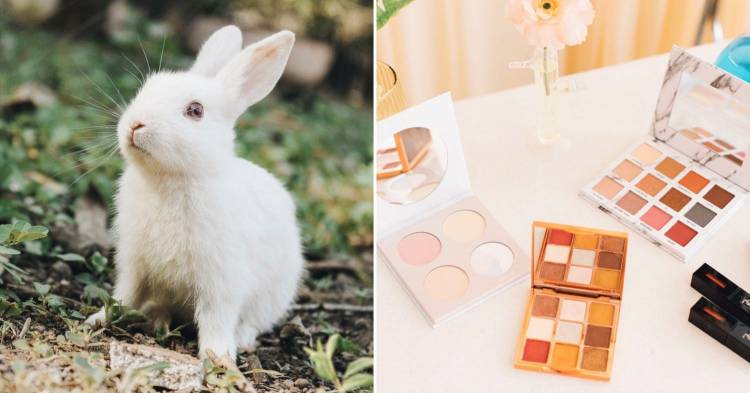 Mexico Bans Cosmetic Animal Testing